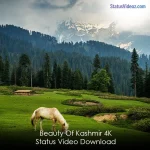 Beauty Of Kashmir 4K Status Video Download