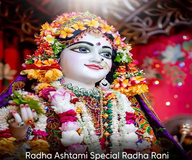 Radha Ashtami Special Radha Rani Status Video Download