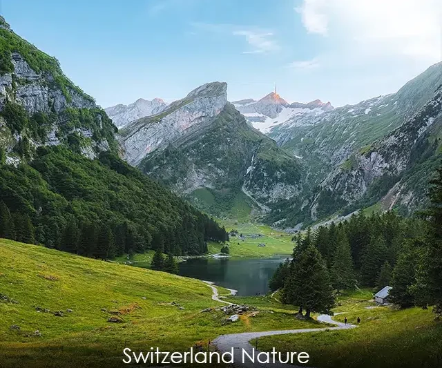 Switzerland Nature Status Video